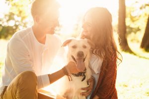 Couple petting dog