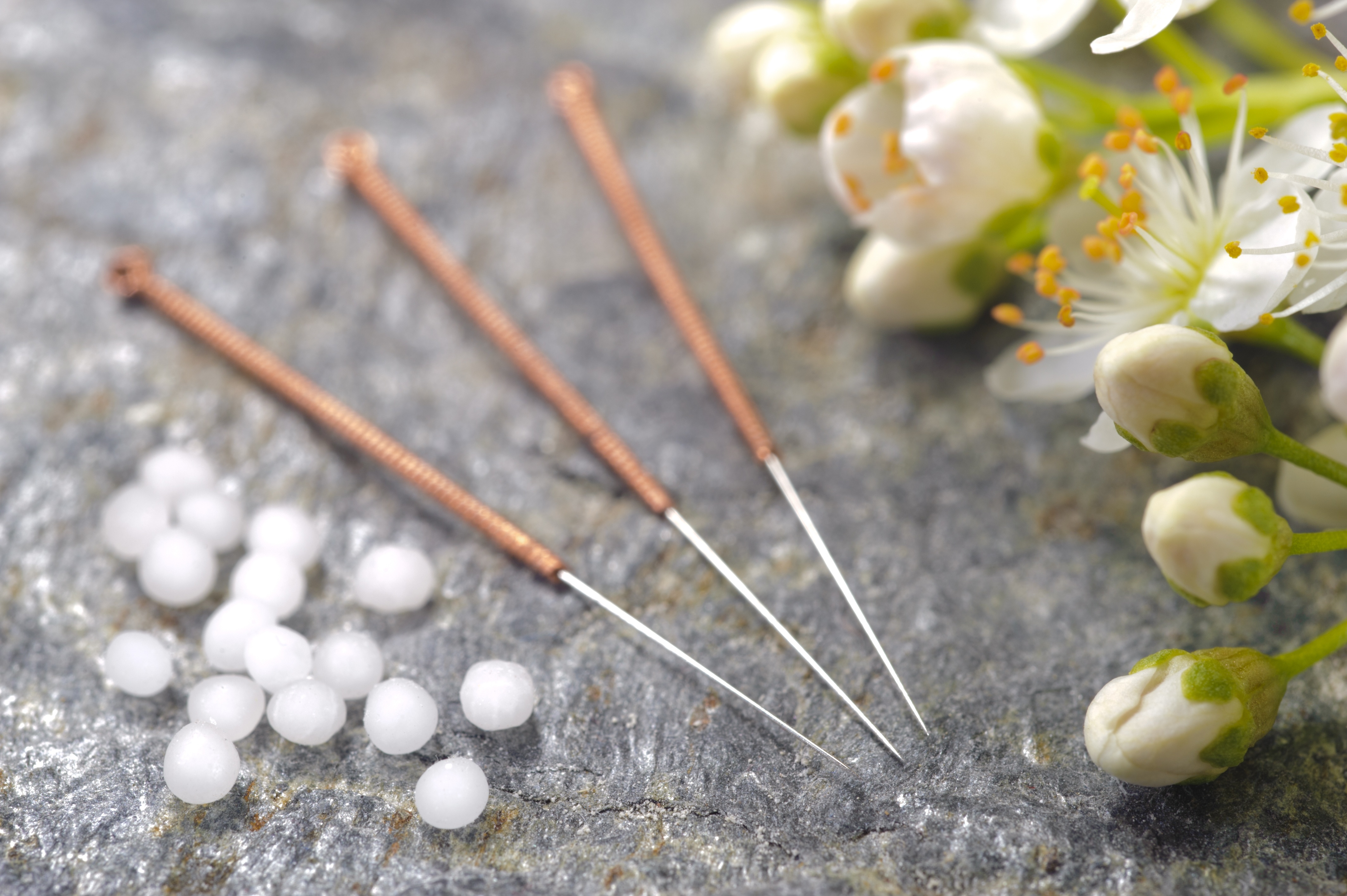 acupuncture for cats