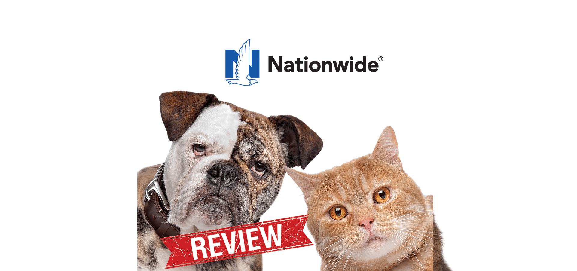 Nationwide Pet Insurance Reviews (formerly VPI): the Worst ...