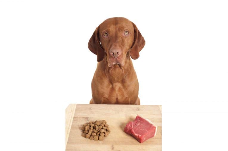 raw dog food diet