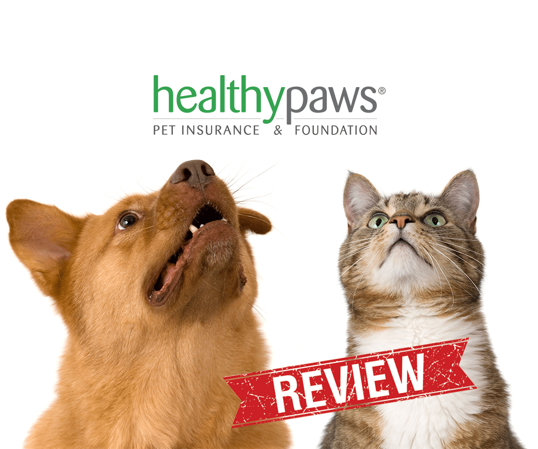 Pet Insurance Reviews | Best & Worst of 2016