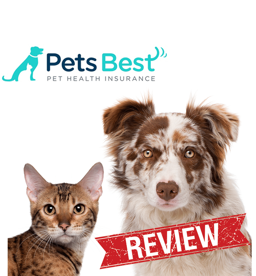 Pet Insurance Reviews | Best & Worst of 2016