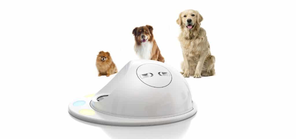 Pet Tutor Dog Treat Dispenser Review