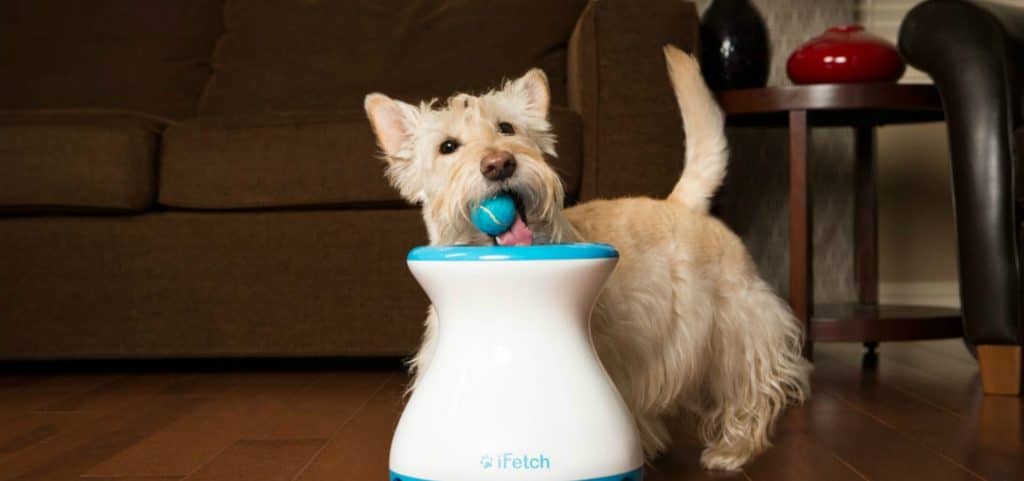 ifetch pet toy