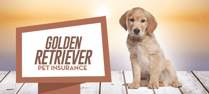 golden retriever pet insurance