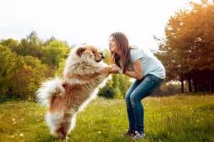 Chow Chow with Owner