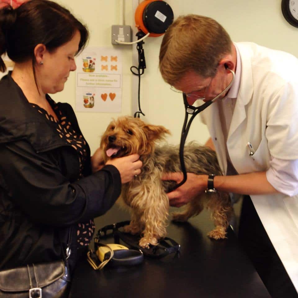petco burbank reviews complaints