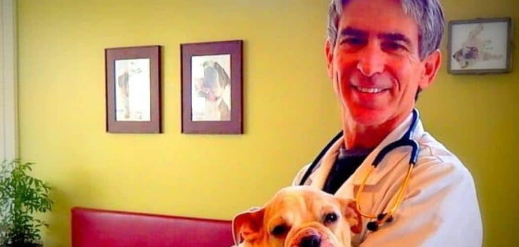 Dr Kraemer Bulldog vet