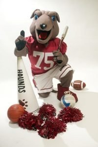 University of Indiana Mascot