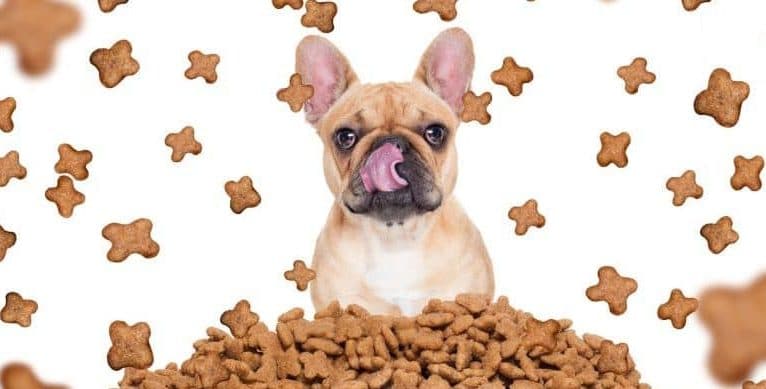 french bulldog nutrition feeding french bulldog nutrition feeding