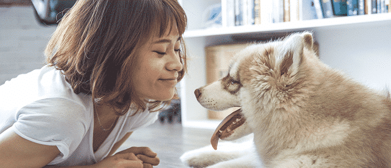 pet insurance basics