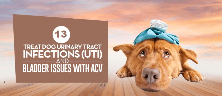 acv for uti