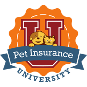 How do you file a benefits claim at the VPI pet insurance portal?