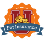 Trupanion vs. Nationwide | Which Pet Insurance is Best For Your Pet
