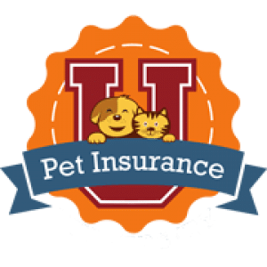 (c) Petinsuranceu.com