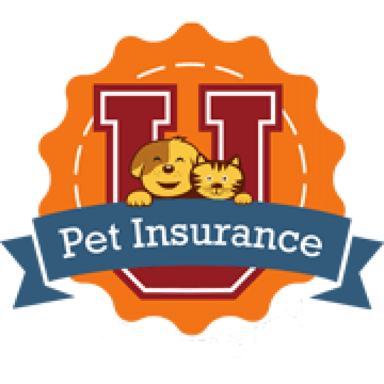 2024 – Compare Pet Insurance Companies Costs And Coverages | Pet