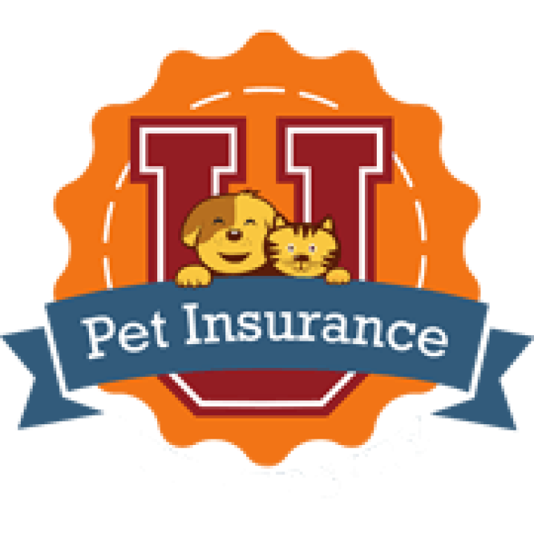 VPI Pet Insurance Review Pet Insurance U