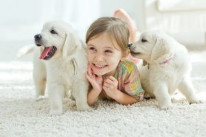 banfield pet insurance review