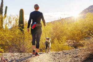 pet insurance in Arizona