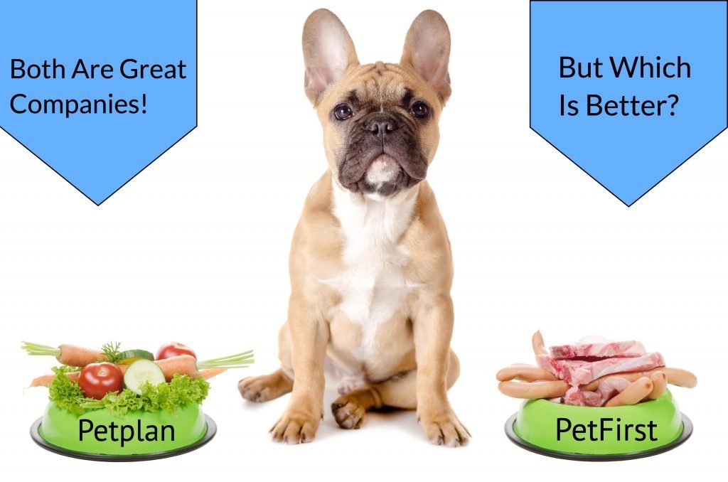 PetPlan vs. PetFirst Pet Insurance Plans, Costs & Coverage Compared