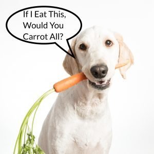 Can Dogs Eat Carrots