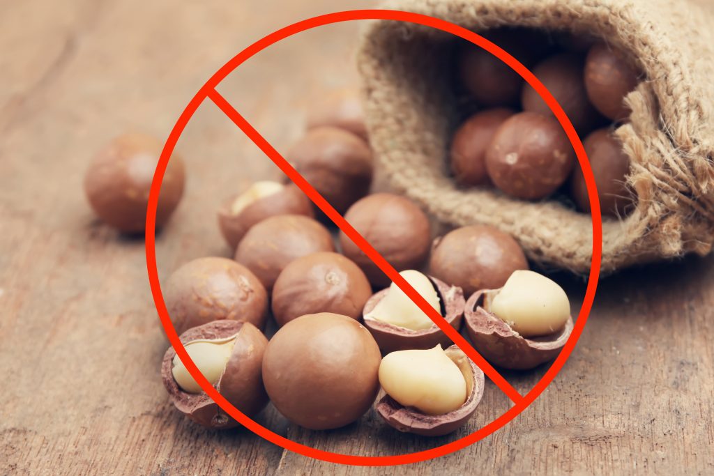 Can Dogs Eat Macadamia Nuts? Toxicity, Symptoms, and Safety Tips
