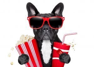 Can Dogs Eat Popcorn? | How To Share Popcorn With Your Dog