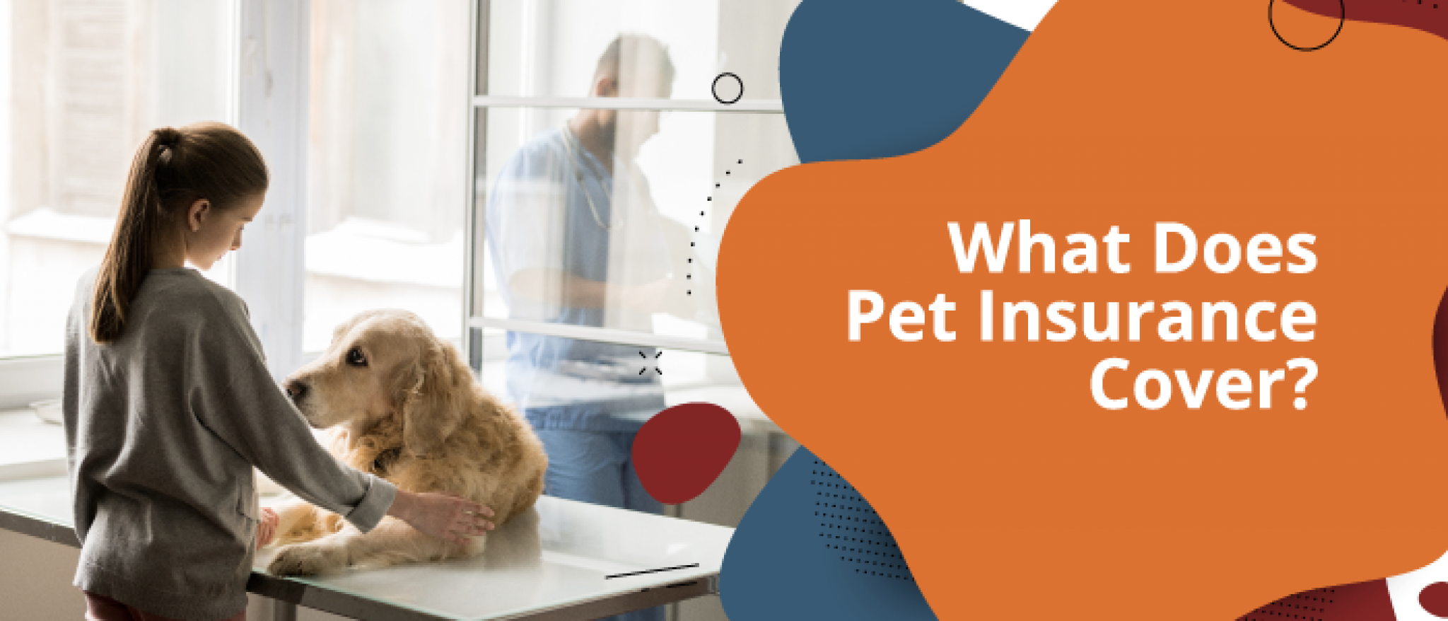 Does Tesco Pet Insurance Cover Pregnancy What is Pet Insurance? & What Does Pet Insurance Cover?