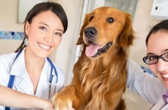 Hereditary and Congenital Health Issues