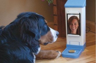 10 Futuristic Pet Gadgets Trending on Kickstarter Right Now