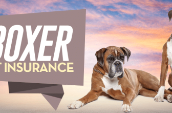 Boxer Pet Insurance