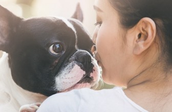 Brachycephalic Skull in Dogs