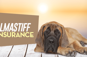 Bullmastiff Pet Insurance
