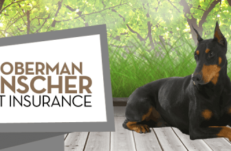 Doberman Pet Insurance