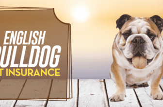 English Bulldog Pet Insurance