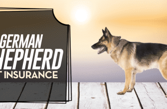 German Shepherd Pet Insurance