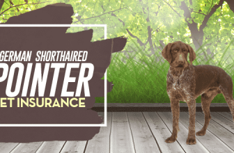 German Shorthaired Pointer Pet Insurance
