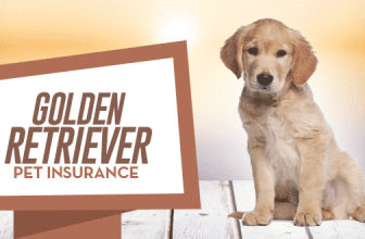 Golden Retriever Pet Insurance