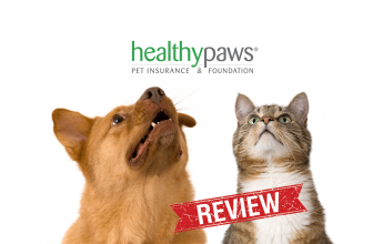 Healthy Paws Pet Insurance Reviews