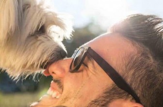 Pet Insurance Reviews
