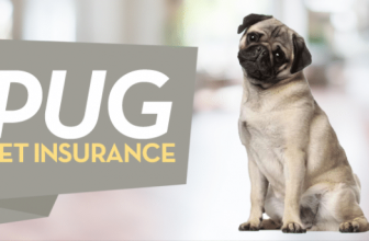 Pug Pet Insurance
