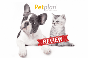 Petplan Pet Insurance Reviews
