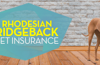 Rhodesian Ridgeback Pet Insurance