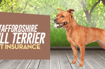 Staffordshire Bull Terrier Pet Insurance